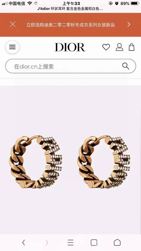 Dior Earring 03yxs139